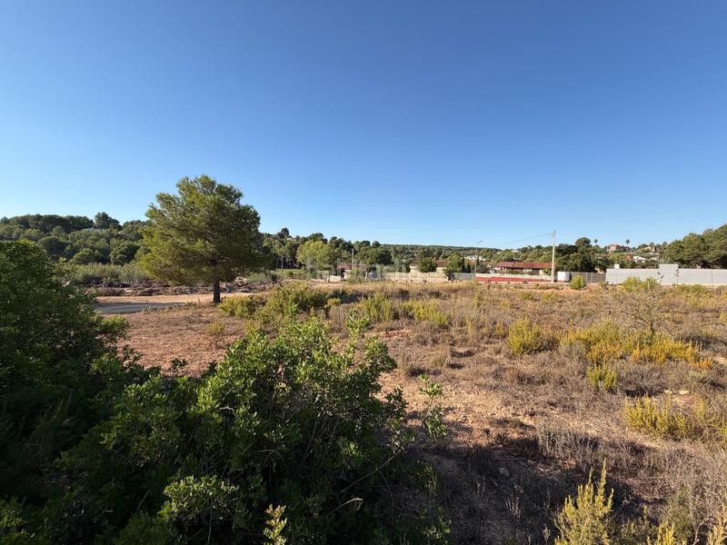 Foto e4f3e29d-e75b-41be-9e09-6922aba5944a. Terreno residencial en urbanizacion bosque 398 parcelas urbanas en venta en urb. El Bosque , valencia en Chiva