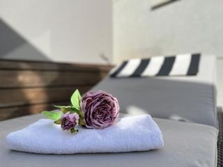 Location Attique  Mosen femades. Ático de lujo con gran terraza en el centro de valencia