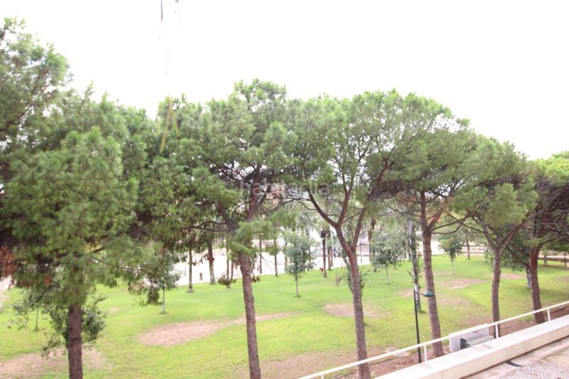 Foto 4bef0be3-d3bf-4d4b-b967-292fdac46a5f. Pis a avenida manuel de falla 12 a Nou Campanar Valencia