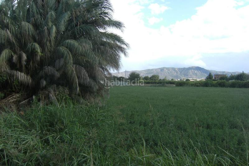Foto b0ce8b17-75bd-4b5a-bb7c-e781d35fe8c9. Terrain résidentiel dans Llano de Brujas Murcia