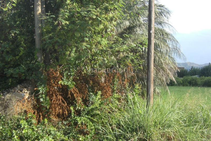 Foto c2168090-3dbb-46af-98c8-70363a7ad748. Terrain résidentiel dans Llano de Brujas Murcia