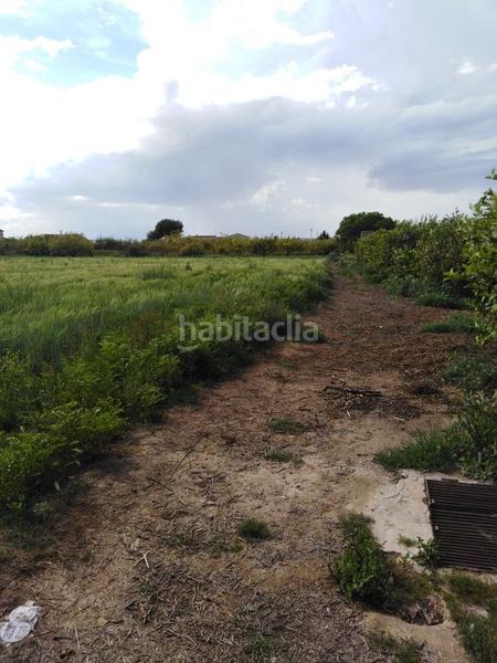 Foto 065c7d66-87b9-406a-a85c-98e7a06274fe. Landgut in diseminado vereda palmeras 1 in Los Ramos Murcia