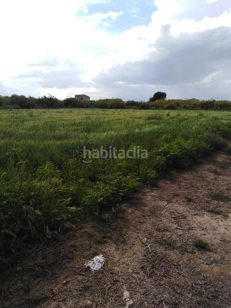 Foto 91ab10d7-dd60-45b7-a0e4-464c4d029b1c. Landgut in diseminado vereda palmeras 1 in Los Ramos Murcia