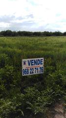 Finca rústica a Diseminado vereda palmeras 1. Se vende terreno rústico en torreagüera ( murcia )