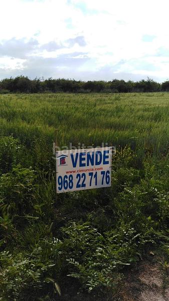 Foto 951c03ef-cf94-4fbc-b43b-1afa34eda5a6. Landgut in diseminado vereda palmeras 1 in Los Ramos Murcia