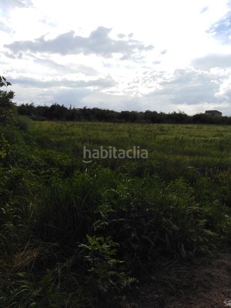 Foto b94e47fb-85d6-431b-b939-dd9aeb8ee8c4. Landgut in diseminado vereda palmeras 1 in Los Ramos Murcia