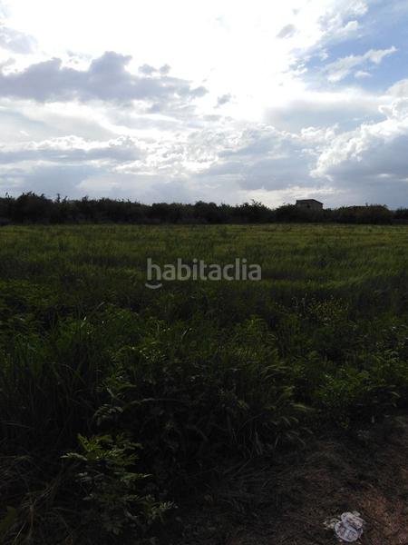 Foto c6f6d5ef-0403-4183-a1a6-4c41fe1811cd. Landgut in diseminado vereda palmeras 1 in Los Ramos Murcia