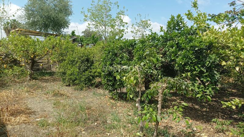 Foto 1817b589-d81a-4eed-8e7f-dc533d463ea0. Casa con parcheggio in Nonduermas Murcia