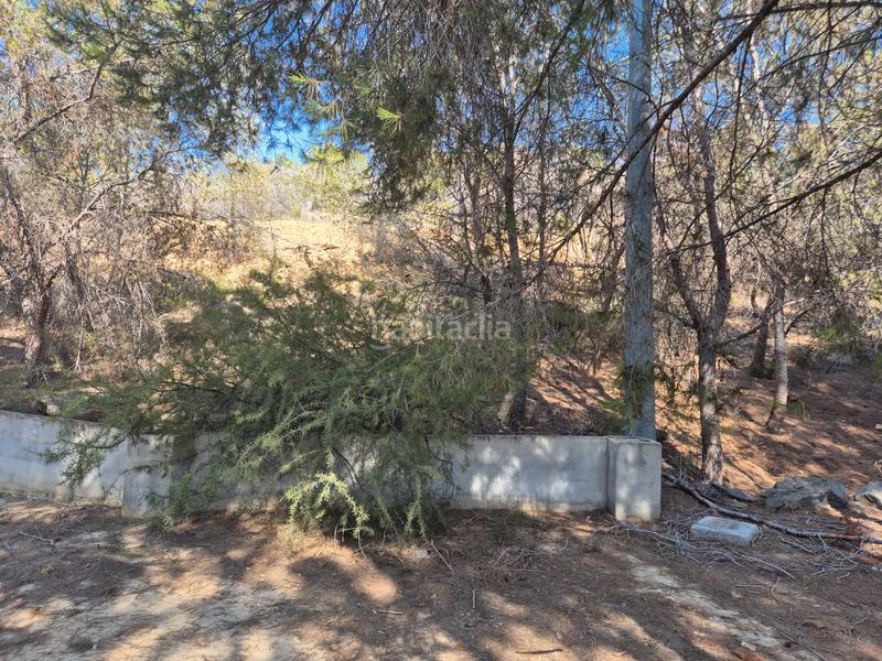 Foto 0e87e443-3778-444b-a8c5-0bf7db0f1087. Finca rústica finca rustica en El Esparragal en El Esparragal Murcia