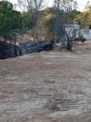 Propriété  Camino coto de los cuadros. Finca rustica en el esparragal