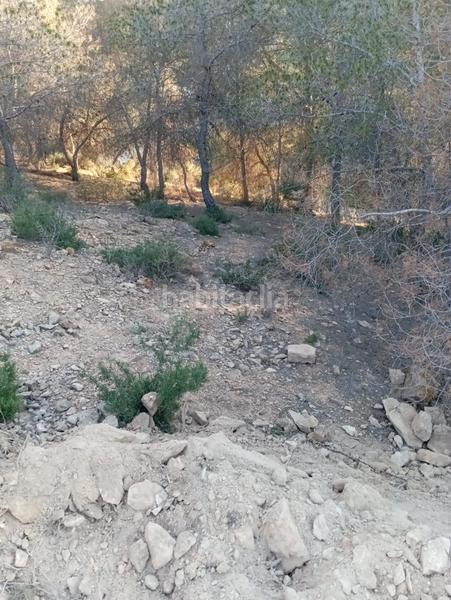 Foto be81a47a-673f-42dd-b009-2384d9b6fd0e. Finca rústica finca rustica en El Esparragal en El Esparragal Murcia