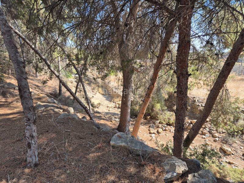 Foto e9915e59-6f61-4a79-b6b2-105c59cdb553. Finca rústica finca rustica en El Esparragal en El Esparragal Murcia