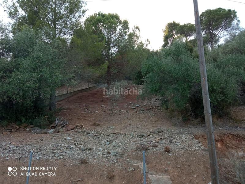 Foto 5e6dca5d-218f-4418-b32d-0b542df0d434. Finca rústica a Nucli Urbà Esparreguera