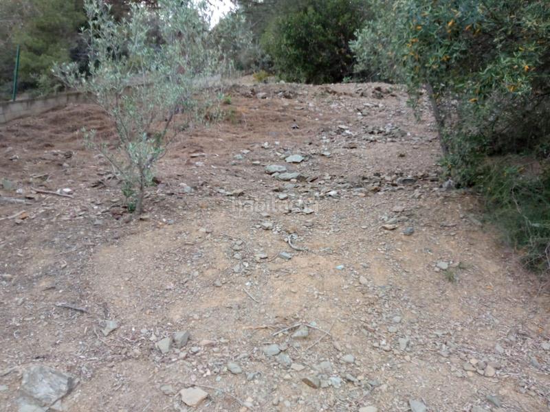 Foto ef763cbb-66c4-4620-8ff1-fb1eb5d52803. Finca rústica a Nucli Urbà Esparreguera
