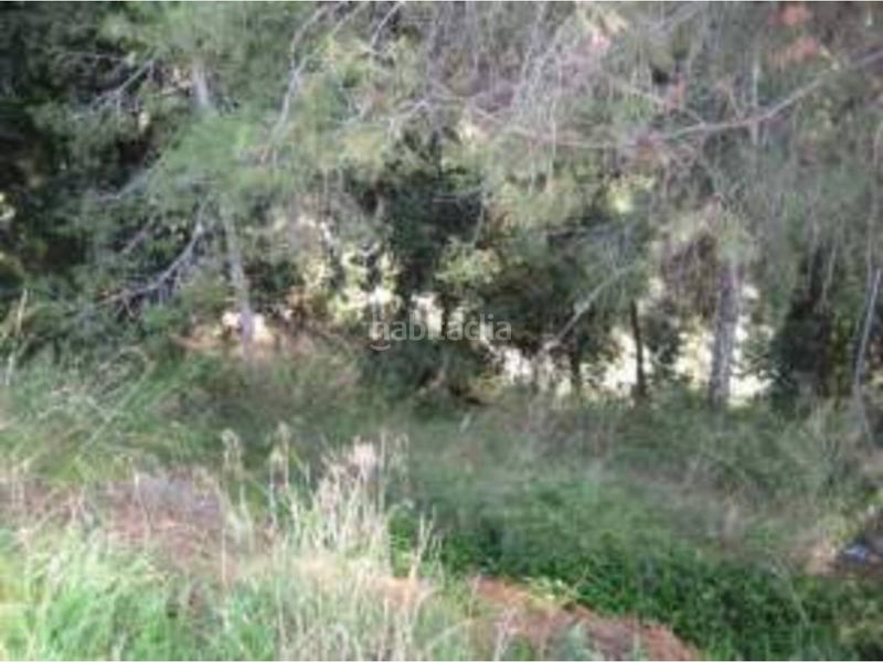 Foto 950940cc-e547-4bc0-9244-8e0ca6342ba4. Terreno residencial en avenida montbui 50 terreno en venta en Caldes de Montbui
