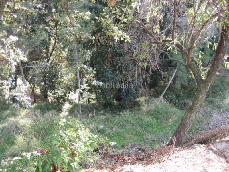 Foto 9677bc7b-fe0a-4f59-816a-9f0f5b16b7f8. Terreno residencial en avenida montbui 50 terreno en venta en Caldes de Montbui