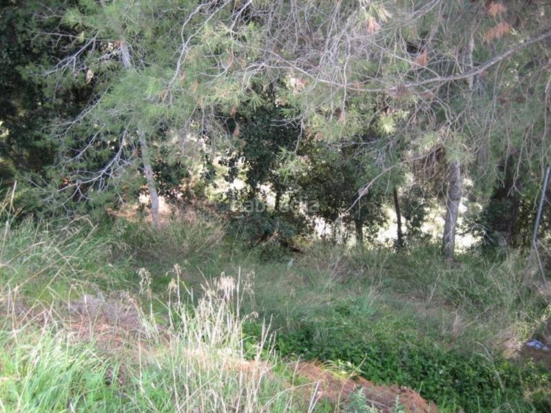 Foto f651bb5a-eef4-4310-aae3-b1864a529835. Terreno residencial en avenida montbui 50 terreno en venta en Caldes de Montbui