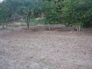 Residential Plot in Caldes de Montbui. Parcela en venta en caldes de montbui