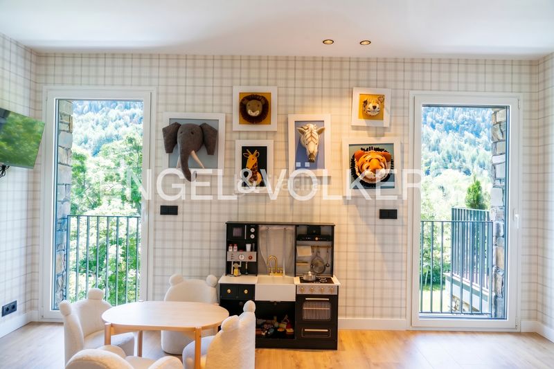 Foto a91e59ed-1540-41e6-861f-7d92d0328bab. Planta baixa amb xemeneia calefacció aparcament a Canillo