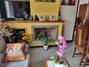 Ampliar foto 59b13325-e766-432f-8b5f-5b04a5939cfe.jpg