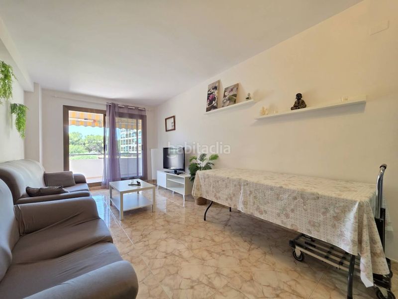 Foto 18a6f851-7ab1-4e56-9670-fe0281bdd4cf. Pis a La Pineda Vila-seca