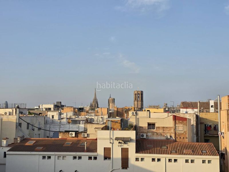 Foto 9762d571-1d17-4a16-a6dc-245549e863e5. Àtic amb calefacció a Raval Barcelona