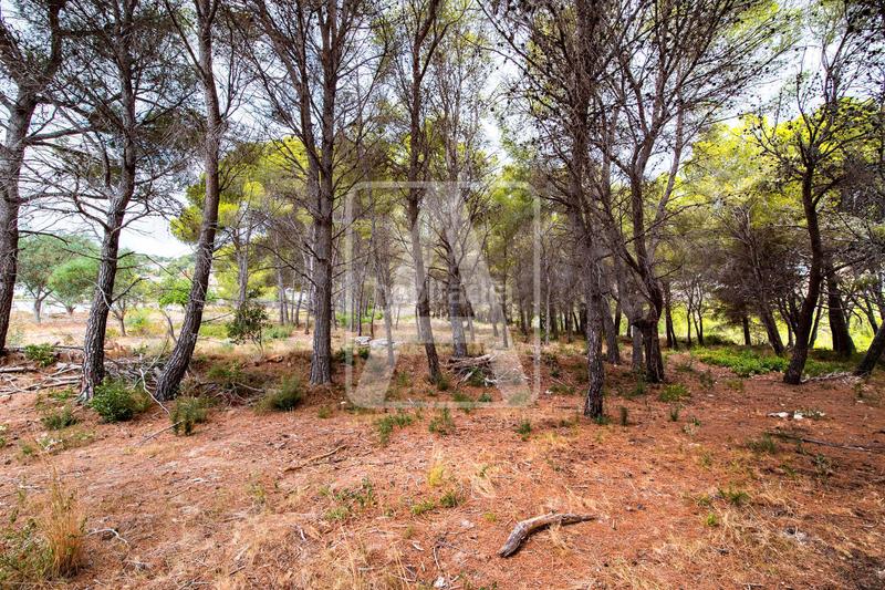 Foto e6e49516-63f4-42b8-8993-134b6c7a9255. Chalet avec chauffage piscine dans Pinar de Advocat-Cometa Moraira