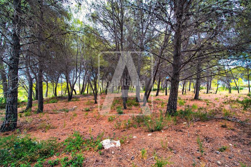 Foto 0ae11366-f196-4230-bcac-c2c2bc88af52. Chalet con riscaldamento piscina in Pinar de Advocat-Cometa Moraira