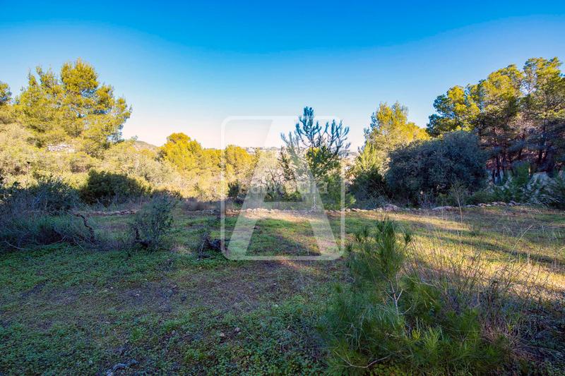 Foto 40e885c1-721a-46a6-acf8-f7657418b0a8. Chalet villa en venta , buenavista en Cala Advocat-Baladrar Benissa