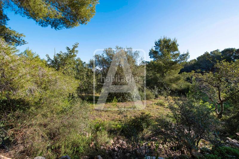 Foto 7e5d9cf2-9e2f-4900-b583-600a54673f09. Chalet villa en venta , buenavista en Cala Advocat-Baladrar Benissa