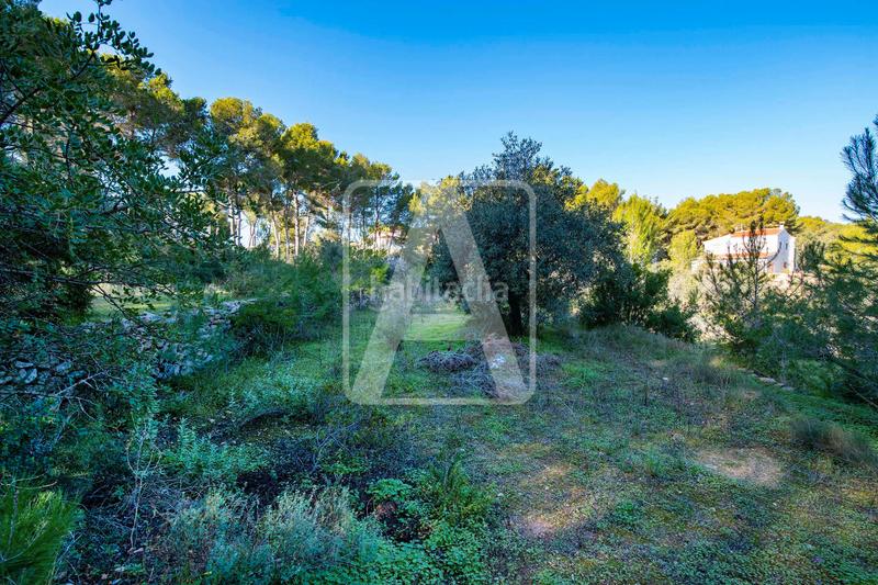 Foto b99a6bc8-7b8c-4b03-8247-7568a72f82ab. Chalet villa en venta , buenavista en Cala Advocat-Baladrar Benissa