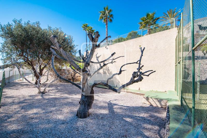 Foto d3c7542f-1f5d-430f-a928-e07c478567c3. Chalet mit kamin heizung parking pool in Oltamar - Cucarres Calp