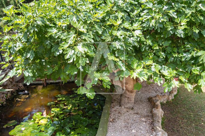 Foto f806f5d1-415e-4b31-973f-c605455d2f6d. Chalet villa en venta , montemar en La Viña-Montemar-San Jaime Benissa