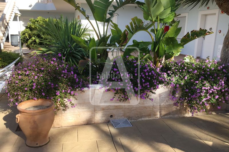 Foto 807c83e1-6320-4d55-b38b-bf3546a1c10d. Apartament amb calefacció piscina a La Fustera Benissa
