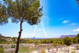 Residential Plot in La Empedrola