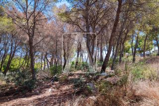 Terreny residencial a Moravit-Cap Blanc