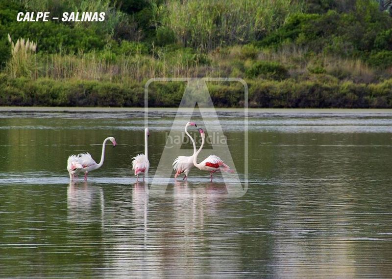 Foto bb640c20-3123-4c0f-8bd3-6fae0827c85f. Xalet amb calefacció aparcament piscina a Cometa Calp