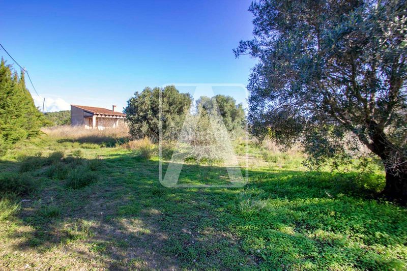 Foto 5be1ad4e-105b-4633-9577-624b55b0d34c. Masia amb calefacció aparcament piscina a Teulada