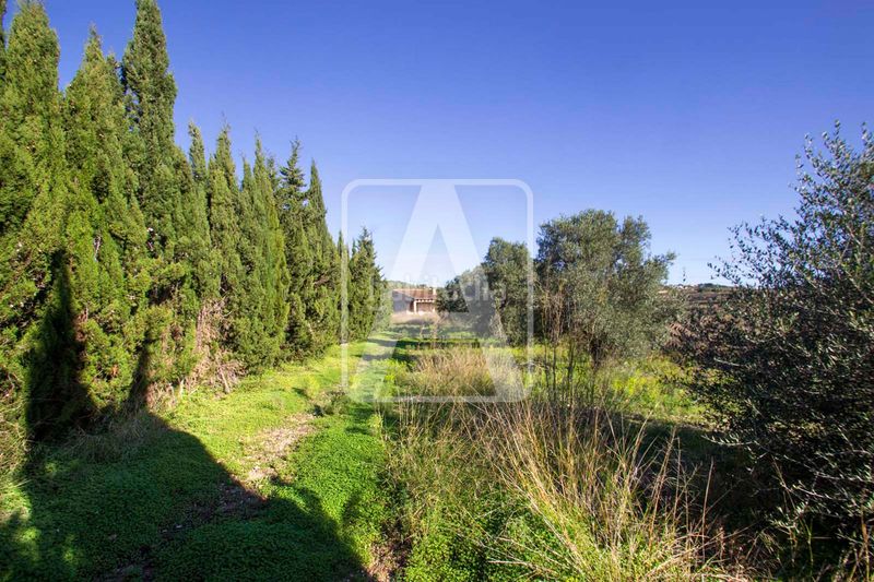 Foto 8490fc0b-1051-45b8-83b6-0578be860b96. Masia amb calefacció aparcament piscina a Teulada