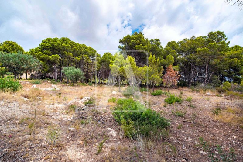 Foto 3cd2ba3e-90a5-4900-9cc5-446034abc4a1. Chalet en Pinar de Advocat-Cometa Moraira