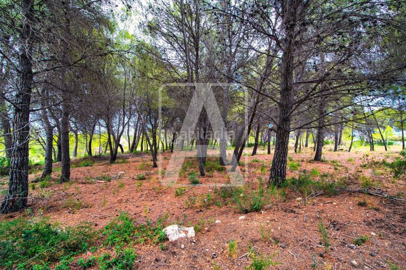 Foto bfec695e-29ca-401f-9724-a7650306a2b8. Chalet en Pinar de Advocat-Cometa Moraira