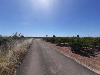 Finca rústica en Picanya. Venta campo rustico