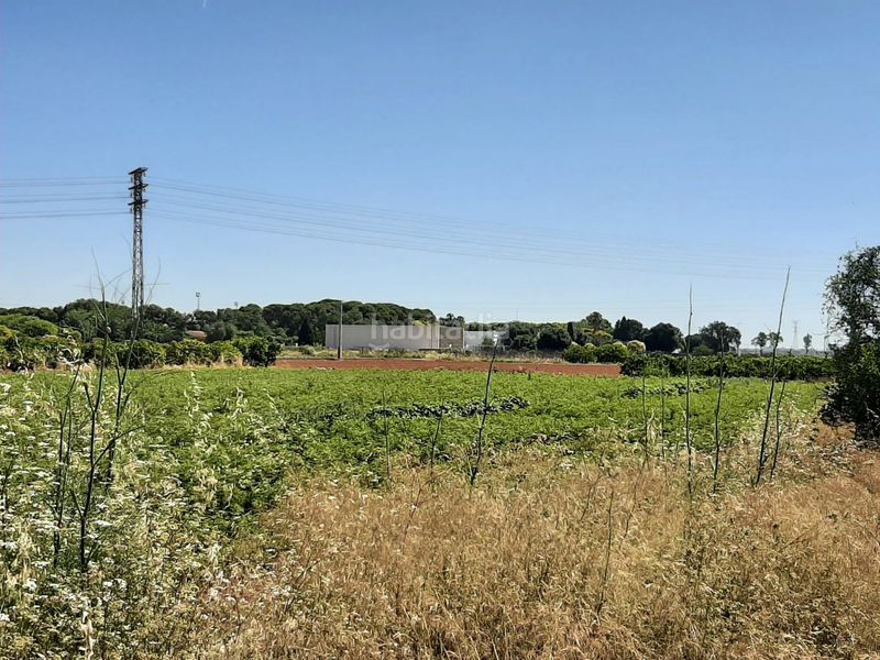Foto f818ae77-57e0-4785-9f52-46269e44c175. Finca rústica a Picanya