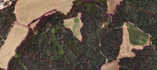 Finca rústica a Palol de Revardit. Finca rustica amb permis per edificar