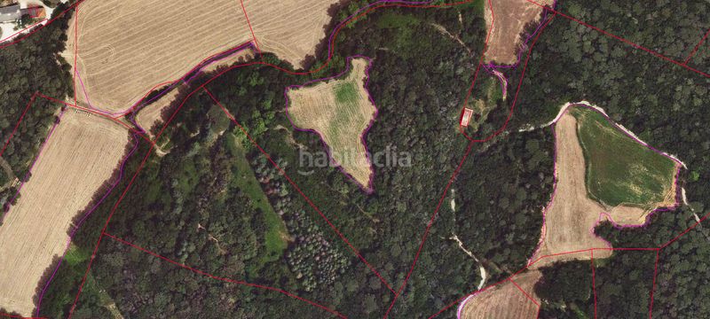Foto a265ea78-70a5-4e00-82ea-8b3007256c6a. Finca rústica finca rustica amb permis per edificar en Palol de Revardit