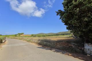 Terreny residencial a Alcanar. Finca rústica con caseta de aperos