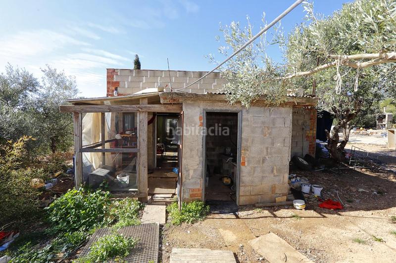 Foto 82a90abb-38c3-46d7-ae74-4dea84915726. Finca rústica a Alcanar