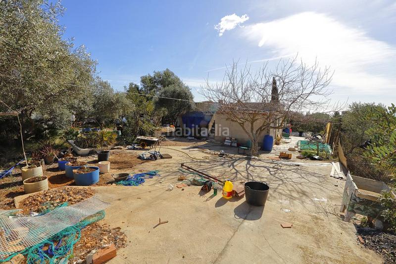 Foto 9dae3c38-a3ba-4847-a528-0e10e5432ac4. Finca rústica a Alcanar