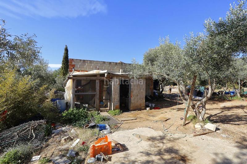 Foto a30fd064-1316-445f-9608-ba981d5bc1c7. Finca rústica a Alcanar