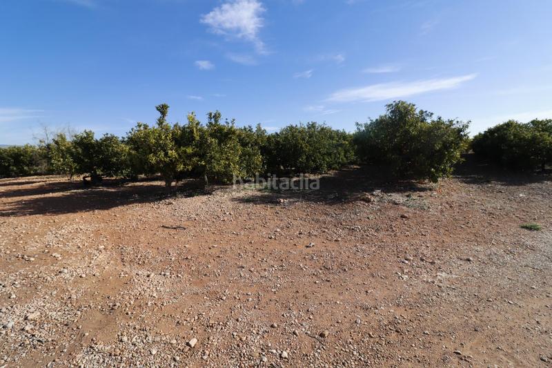 Foto e0c6e873-e4a9-4d42-b59b-83904323d8b6. Finca rústica  de clemenules en Centro Comercial - Capsades - Hospital Vinaròs